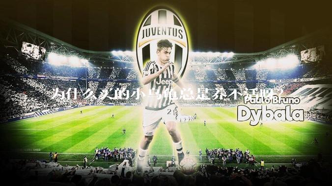 为什么买的小乌龟总是养不活呀？
