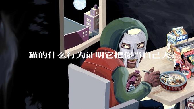 猫的什么行为证明它把你当自己人？