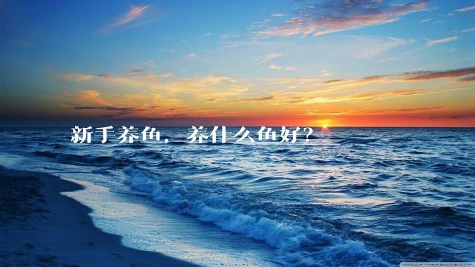新手养鱼，养什么鱼好？