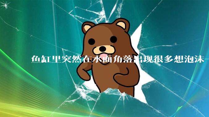鱼缸里突然在水面角落出现很多想泡沫一样的气泡是怎么回事？