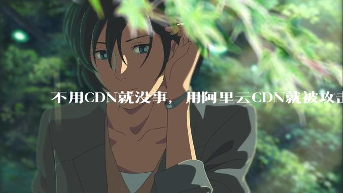 不用CDN就没事，用阿里云CDN就被攻击刷流量，阿里云表示证明不了就要用户买单，如何看到这种行为？